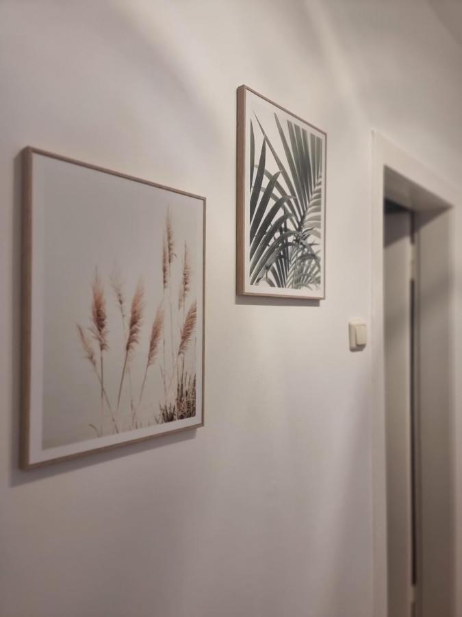 Apartment Naehe Duesseldorf Messe Expo, Airport, Train Station Duisburg Ngoại thất bức ảnh